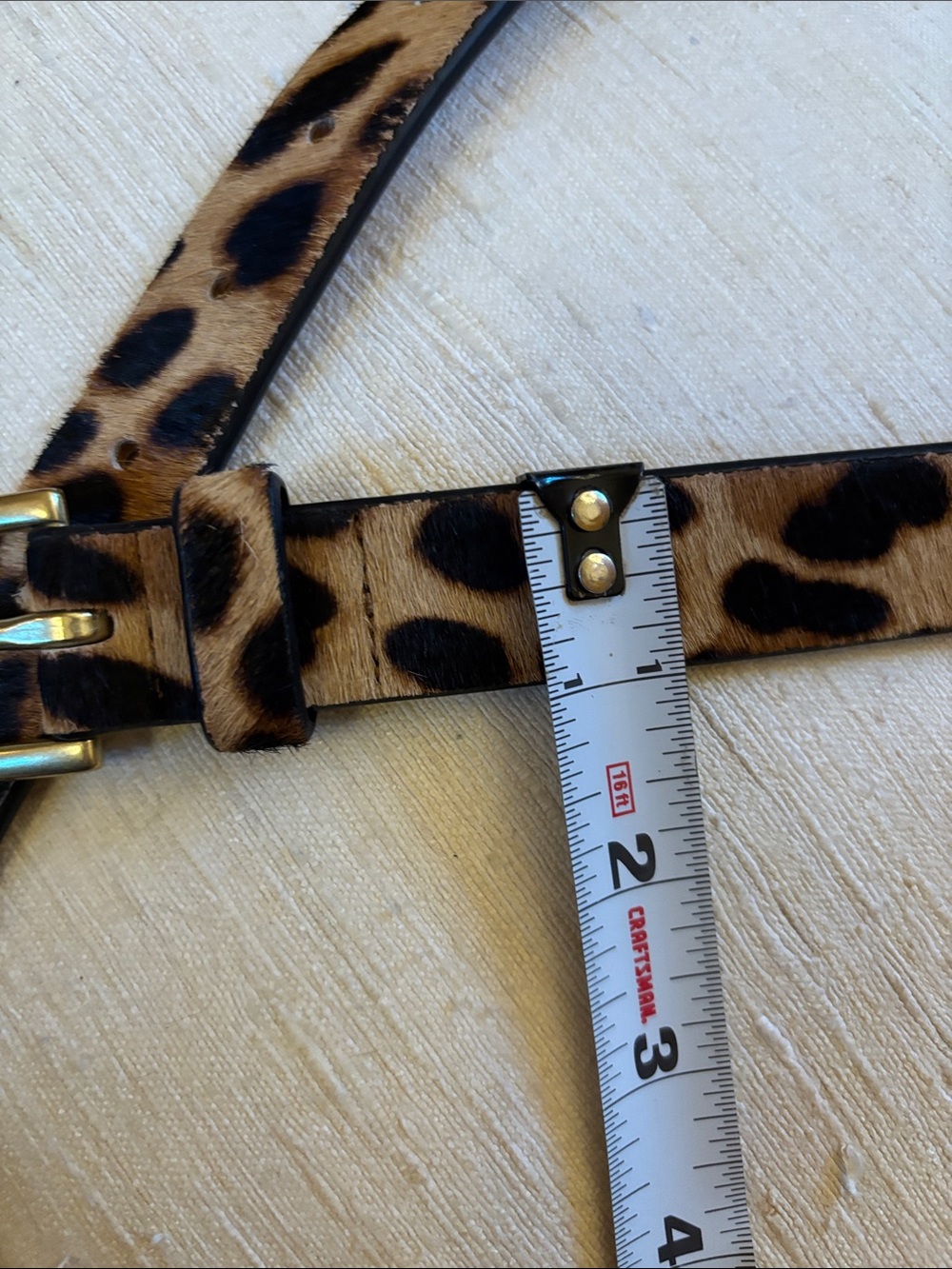 J.Crew spotted leather animal hide skin belt - Picture 4 of 4